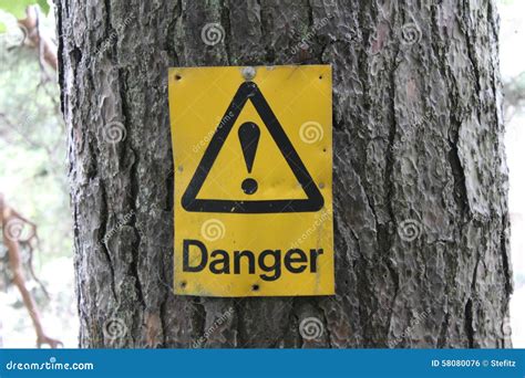 Danger Tree Sign 的图像结果