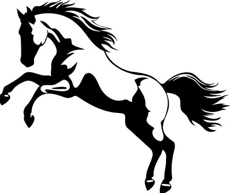 Horse Rearing