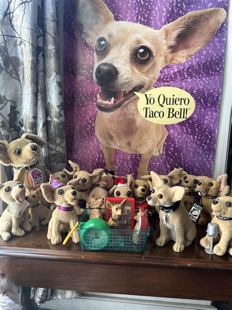 I collect the Taco Bell chihuahua aka Gidget! : r/tacobell