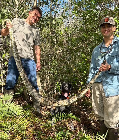 Image result for Python Cowboy Hunts