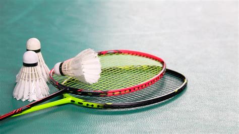 Badminton Bat 的图像结果