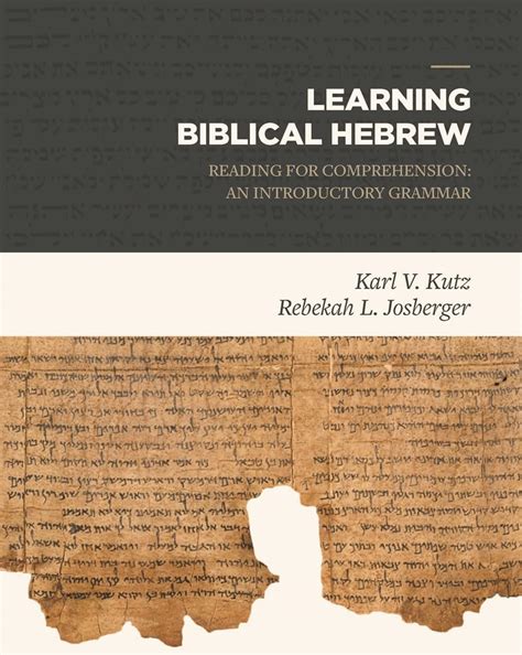 Buy Learning Biblical Hebrew: Reading for Comprehension: an ...