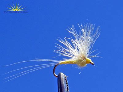 Image result for PMD Fly Pattern
