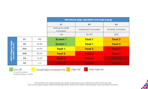 CKD Screening & Diagnosis | Insightmedhub India Portal