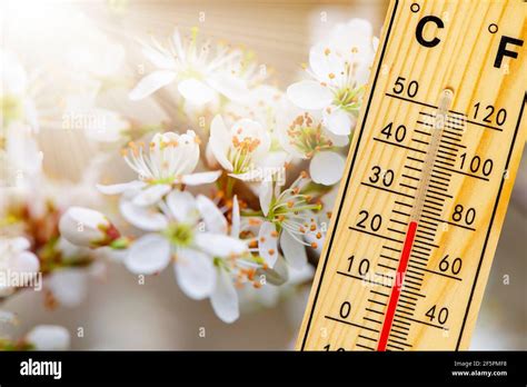 Image result for Spring AVG Temp