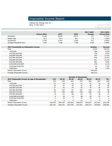 Image result for Disposable Income Example