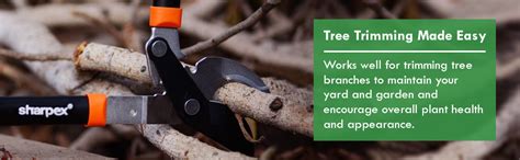 Sharpex Bypass Lopper with Compound Action, Professional Bypass Lopper ...