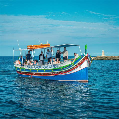SEA LION CRUISES (2026) All You Need to Know BEFORE You Go (with Photos ...