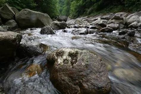 “会昌正源山泉水”横空出世，吸引各界关注_海南频道_凤凰网