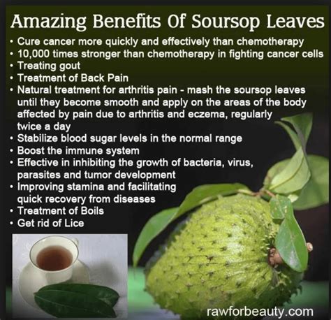 Soursop Benefits Sexually
