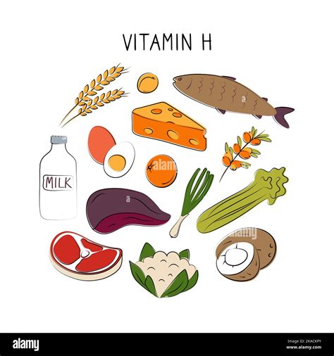 Vitamin H Biotin. Groups of healthy products containing vitamins. Set of fruits, vegetables ...