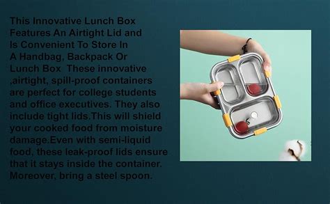 Buy AMBROSIAL STORE 3 Compartment Stainless Steel Insulated Lunch Boxes ...