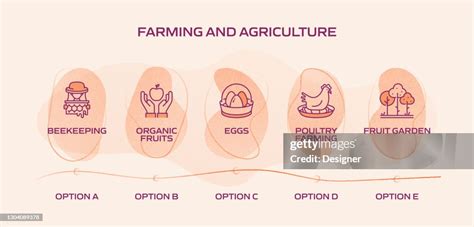 Agriculture Process 的图像结果
