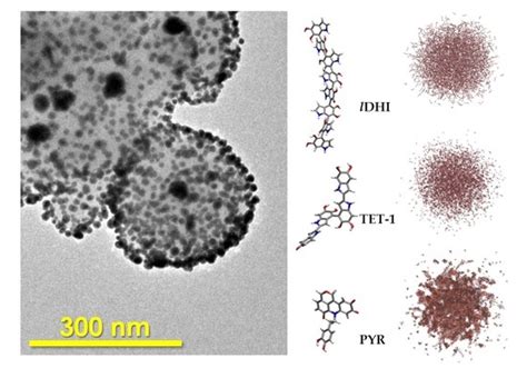 Molecular Dynamics Simulations of Polydopamine Nanosphere’s Structure ...