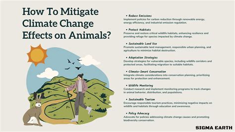 How Weather Affects Animals: A Kindergarten Science Guide