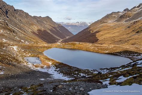 Tierra del Fuego Nature Paradise in Patagonia | Far South Expeditions