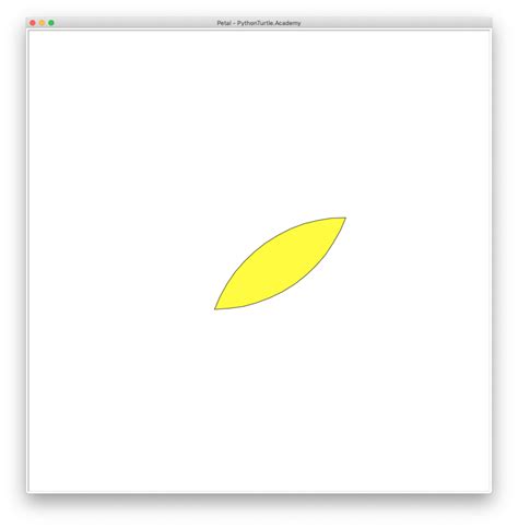 Image result for Turtle Coding Python in Drawing Flower