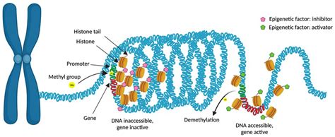 Multi-Omics Approach to Improved Diagnosis and Treatment of Atopic ...