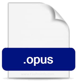 Open Opus Temp File 的图像结果