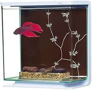 Marina 3L-13412 Betta Kit Contemporary Theme : Amazon.in: Pet Supplies