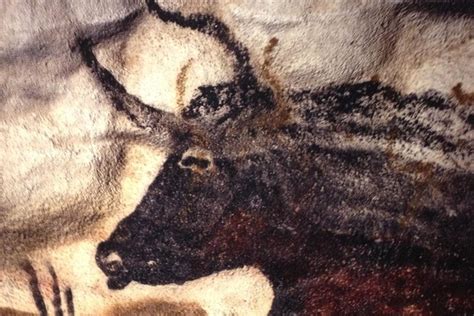 Private Lascaux Caves and Dordogne Valley Day Trip 2022 - Bordeaux - Viator