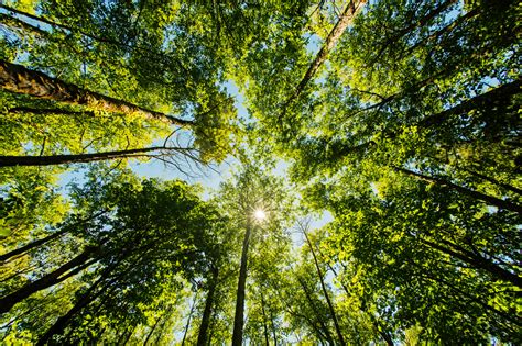 Your Guide To Tacoma