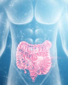 Extend Your Lifespan And Improve Your Health. – Aiwo Limited