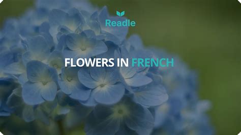 20 French Words for Flowers | Readle