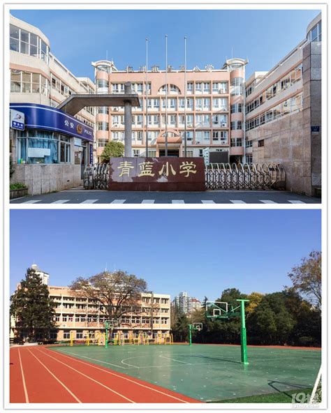 【校园风】家门口的好学校知多少？宝山区第一波学区化介绍来了！_上海市