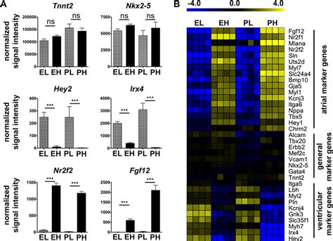 Image result for Selective Gene Expression