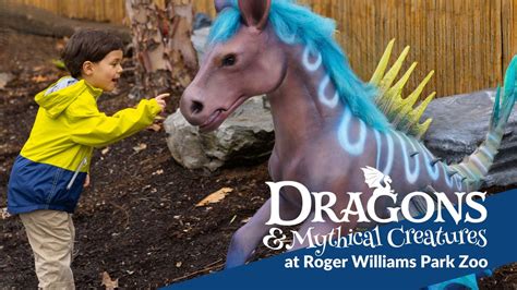 Dragon Family Nights, 1000 Elmwood Ave, Providence, RI, United States ...