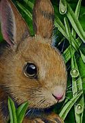 Image result for Funky Easter Bunny Art for Kids