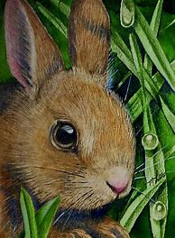 Image result for Etching Rabbit Art