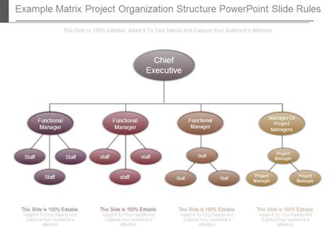 Image result for Matrix Project Structure Example