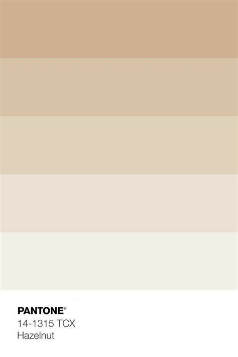 Image result for Colors in Python Program
