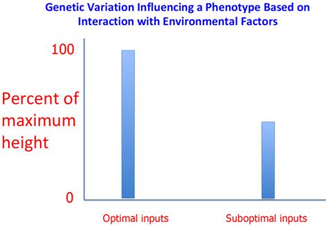 Genes, Heritability, ‘Race’, and Intelligence: Misapprehensions and ...