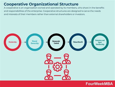 Co-operative Organizational Structure 的图像结果