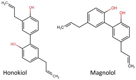 Honokiol Is More Potent than Magnolol in Reducing Head and Neck Cancer ...