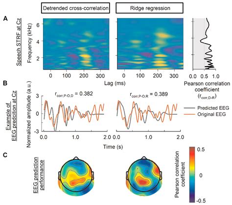 A Novel Computationally Efficient Approach for Exploring Neural ...