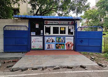 3 Best Pet Shops in Madurai - Expert Recommendations
