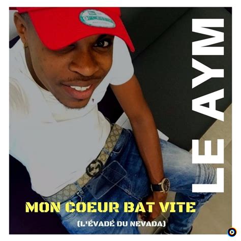 Mon cœur bat vite (l'évadé du Nevada) | Le Aym Lyrics, Meaning & Videos