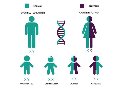 Image result for Patterns of Genetic Inheritance