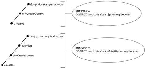 ネットワークの確立と接続のテスト