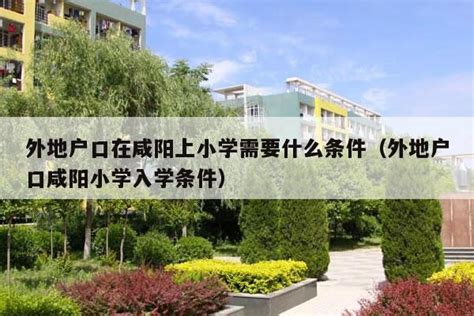外地人在杭州上小学需要什么条件？2022年最新政策介绍！_杭州小窝