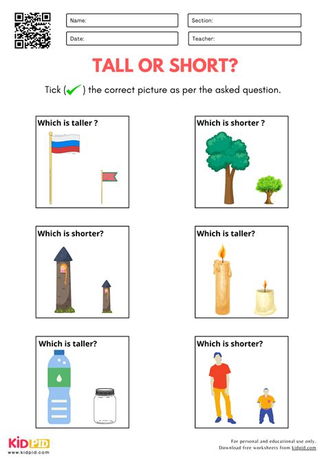 Tall And Short Worksheets For Kindergarten