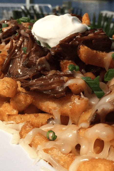 Short-Rib Poutine 的图像结果