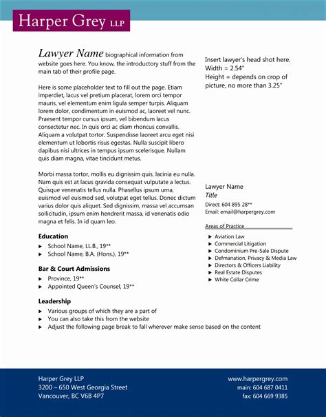 Microsoft Word Professional Bio Template - Free Word Template