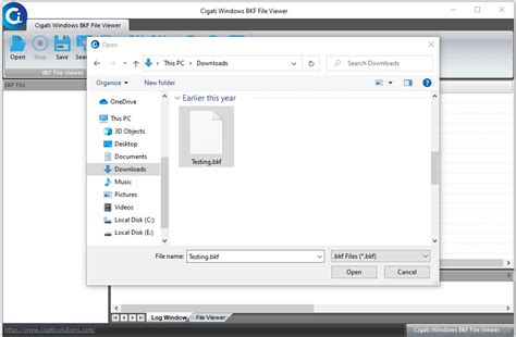 Open BKF File 的图像结果