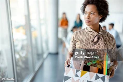 Image result for Design and Build Project Programme