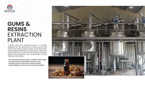 Oleoresin Extraction Plant - Ginger Oleo Resin Solvent Extraction Plant ...